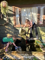 A visit to Narnia, Toni & Robin’s Waikanae Bach. Magical spot.