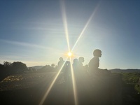 A stunning winters day for an overnight trip to somes (matiu) island. We walked around and found the lighthouse, gun emplacements, barracks, stables from a bygone era. No just after dust we were delighted with a a few little penguin encounters. Just magical.