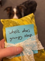 Juniper’s birthday. Yum cake made by Olive, present clue hunt and pancakes and sushi for dinner