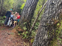 Happy birthday Iris! Tramping bag and dressing gown makes for a good look. Breakfast in bed (couch) was a request and present clue hunt a favorite still.