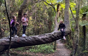 June - Journal Entries