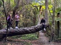 Iris’s birthday party tramp. One night in Jan’s hut with a few of her best mates. Mums came too.