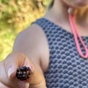 BlackBerry foraging on this mornings walk