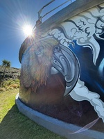 BlackBerry foraging on this mornings walk