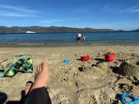 A lovely afternoon dip in jellyfish slushy. Girls made jellyfish pie too.