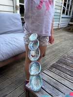 Paua shell succulent planter