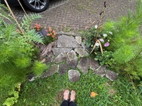 A mini pumpkin! Pond cleaning and pottering in the garden with leftover concrete…