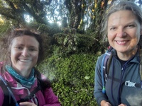 Day two: Hump Ridge, 19km - amazing view to start the day and a super special close encounter with a cheeky kea. Lunch on luncheon rock with no wind followed by moss of amazing ness and then the tram tracks that would never end. Arrived at beautiful Port Craig and swim with the dolphins (kind of)