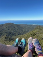 Day two: Hump Ridge, 19km - amazing view to start the day and a super special close encounter with a cheeky kea. Lunch on luncheon rock with no wind followed by moss of amazing ness and then the tram tracks that would never end. Arrived at beautiful Port Craig and swim with the dolphins (kind of)