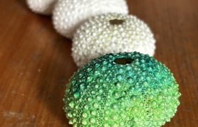 May - Journal Entries