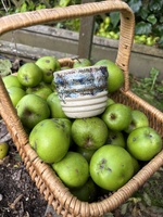 Guinea pig project back underway… trial the lid idea and need to make the final ones now. They loved being out up there.