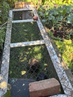 Guinea pig project back underway… trial the lid idea and need to make the final ones now. They loved being out up there.