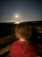 Weekend in Tora bay with the pecks whanau.