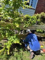 The Great Wall of fence begins… thank the gods I have dad!