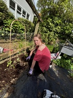 The allotment garden continues…