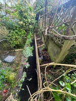 Garden update, made a tier planter within a planter! Pulled off the old fence, iris’s avo is growing well, grass seed on front lawn is doing well too!