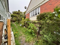 Garden update, made a tier planter within a planter! Pulled off the old fence, iris’s avo is growing well, grass seed on front lawn is doing well too!