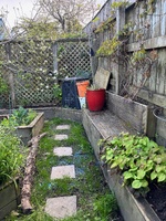 Garden update, made a tier planter within a planter! Pulled off the old fence, iris’s avo is growing well, grass seed on front lawn is doing well too!