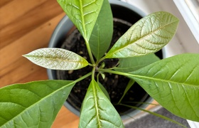 October - Journal Entries