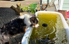 October - Journal Entries