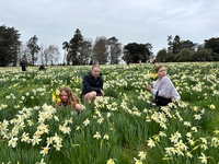 Carterton daffodil picking! Haven’t done it in 9 years! Street market was great too