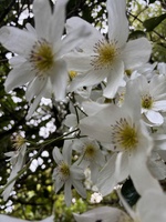 Spring is here! Love this time of year…