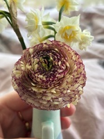 Spring is here! Love this time of year…