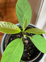 Spring is here! Love this time of year…