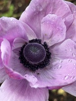 Spring is here! Love this time of year…