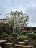 Spring is here! Love this time of year…