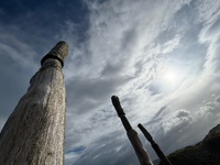 We looked after Darcy & Colin. Enjoyed Colin the cat on walks and is the most affectionate cat I have ever met. Delish.