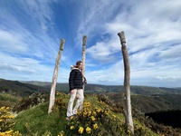 We looked after Darcy & Colin. Enjoyed Colin the cat on walks and is the most affectionate cat I have ever met. Delish.