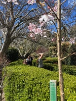 Kaitohe blossoms gardens with the old school girlfriends
