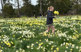 September - Journal Entries