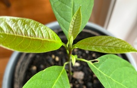 September - Journal Entries