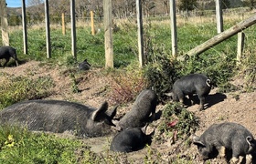 April - Journal Entries