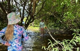 February - Journal Entries