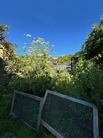 Enjoying our staycation at the pecks palms resort…