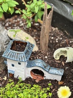 A spot of gardening for the neighbour and enjoying mine too