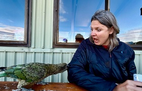 March - Journal Entries